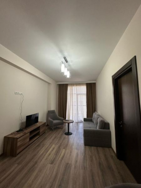 Apartment in the city center